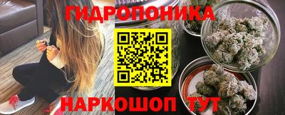 шишки Гусь-Хрустальный