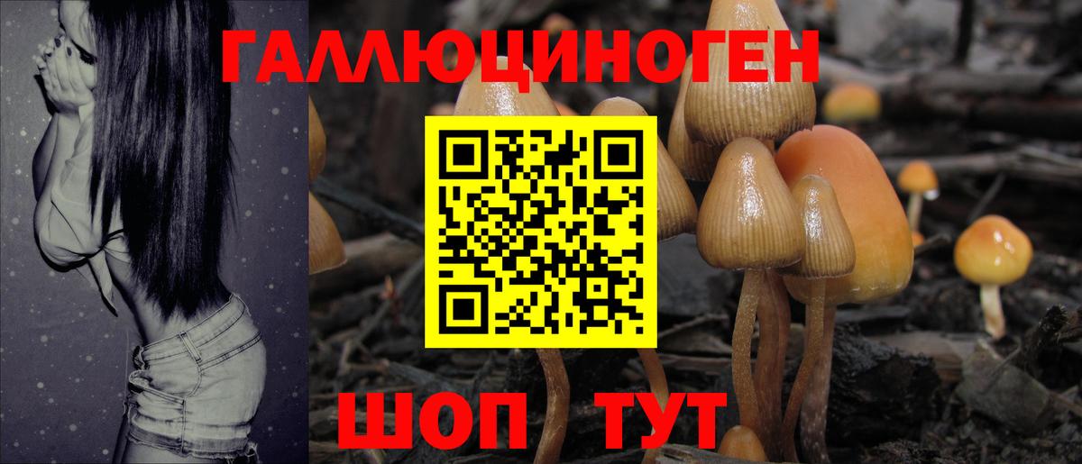 Галлюциногенные грибы мухоморы  Вход с VPN  Новосибирск 