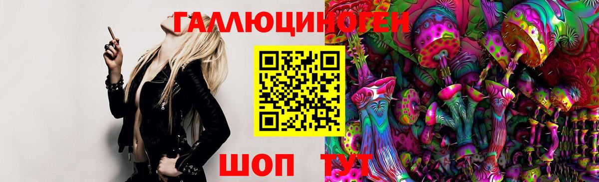 Псилоцибиновые грибы GOLDEN TEACHER Новосибирск